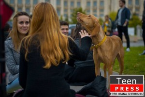 12107266_1175738455787395_7946191320658969045_n